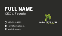 Garden Herbal Leaf Business Card Image Preview