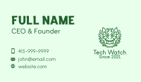 Dragon Plant Herb Business Card Image Preview