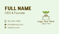 Bonsai Garden Plant Business Card Image Preview