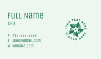 Leaf Nature Botanical Business Card Image Preview