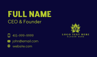 Leaf Herb Plant Business Card Design