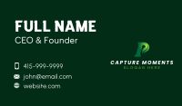 Eco Leaf Letter P Business Card Image Preview