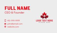 Flying Airplane Canada Business Card Design