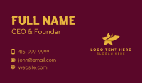 Star Professional Agency Business Card Design