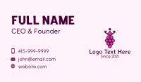 Grape Fruit Stars Business Card Design