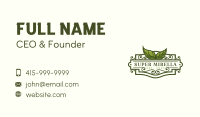 Natural Eco Leaf Business Card Image Preview