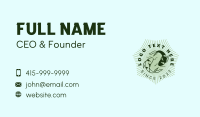 Koi Pond Conservation Business Card Design