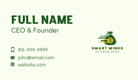 Dollar Cash Express Business Card Image Preview