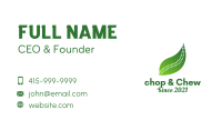 Natural Chiropractor Leaf  Business Card Image Preview
