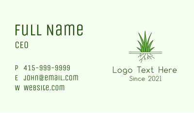 Garden Grass Roots Business Card Image Preview