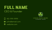 Herb Leaf Plant Business Card Design