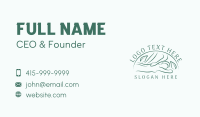 Nature Wellness Spa Business Card Design