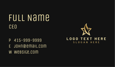 Star Fire Entertainment Business Card Image Preview
