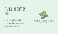 Dollar Currency Investment  Business Card Image Preview