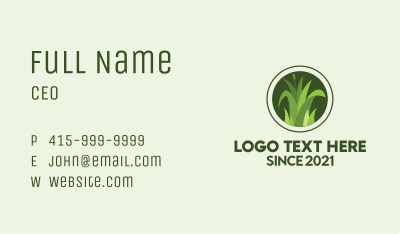 Grass Lawn Maintenance  Business Card Image Preview