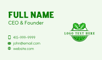 Lettuce Salad Farm Business Card Image Preview