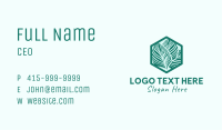 Hexagon Silhouette Leaves Business Card Image Preview