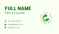 Money Dollar Arrow Business Card Design