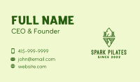 Nature Mountain Camping  Business Card Image Preview