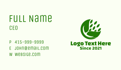 Botanical Leaf Pod Business Card Image Preview
