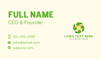 Leaf Sun Solar Business Card Design