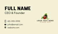 New York Bug Insect Business Card Design