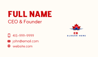 Canada Airplane Travel Business Card Image Preview