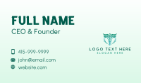 Caduceus Diagnostic Clinic Business Card Preview