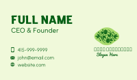 Natural Herb Plant  Business Card Image Preview