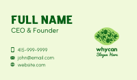 Natural Herb Plant  Business Card Design