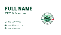 Mexico Agave Plant Business Card Preview