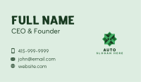 Green Geometric Star  Business Card Image Preview