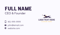 Frisbee Fetch Dog Play Business Card Image Preview