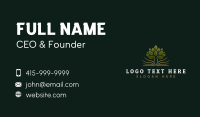 Tree Learning Education Business Card Image Preview