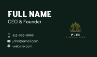Tree Learning Education Business Card Image Preview