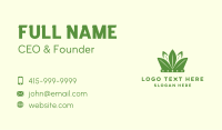 Eco Leaf Crown Business Card Image Preview