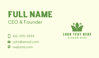 Eco Leaf Crown Business Card Preview