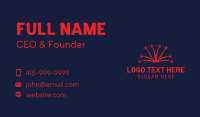 Star Pyrotechnics Celebration Business Card Design