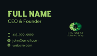 Emerald Eye Navigation Letter Business Card Image Preview