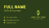 Green Leaf Plant Business Card Image Preview