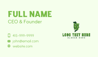 Bamboo Forest Vietnam Business Card Design