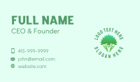 Nature Care Vegan Business Card Image Preview
