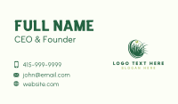 Lawn Grass Nature Business Card Image Preview