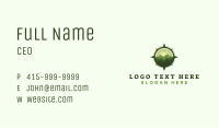 Compass Forest Outdoor Business Card Image Preview