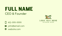 Tropical Coconut Fruit Business Card Design