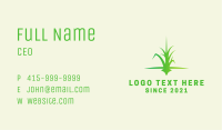 Grass Lawn Care Business Card Image Preview