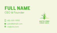 Grass Lawn Care Business Card Image Preview