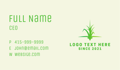 Grass Lawn Care Business Card