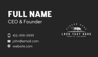 Stag Beetle Insect Business Card Design