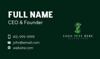 Dollar Money Letter S Business Card Design